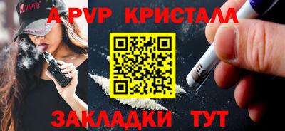 молекула духа Кингисепп