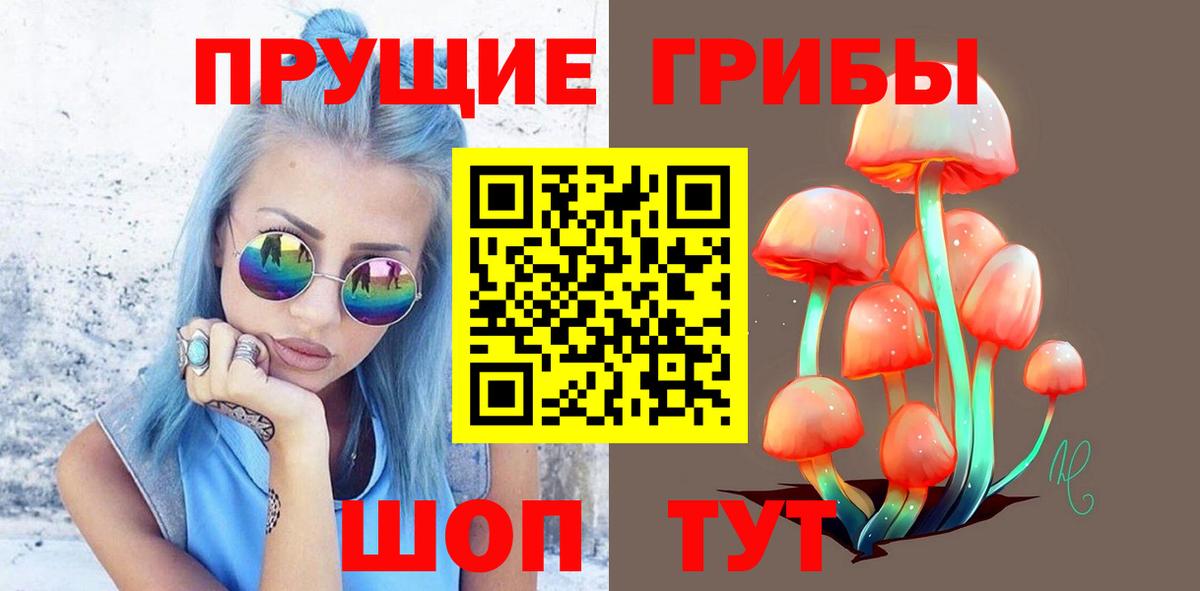 Псилоцибиновые грибы MAGIC MUSHROOMS Луховицы